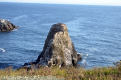 Yaquina Head Outstanding Natural Area, NPS, Newport, Oregon. Oregon Coastline 2013: Oregon Coast, Oregon, USA. Friday, August 3, 2013. (c) 2013: Photo by Leaf McGowan, Thomas Baurley, Technogypsie Productions. More information, copy of photo, to purchase, or to obtain permission to reprint visit http://www.technogypsie.com/photography/.  To follow the adventures, go to http://www.technogypsie.com/chronicles/ or travel tales http://www.technogypsie.com/reviews/