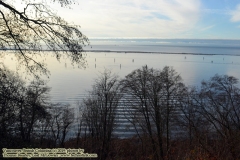 Pacific Spirit Regional Park and beaches - Vancouver, British Columbia, Canada. The adventures of Sir Oisin Leif in Vancouver BC. Photos taken on December 22, 2019. (c) 2019: Photos by Thomas Baurley, Oisin Leif Rhymour, Leaf McGowan. Tales at www.technogypsie.net/chronicles/