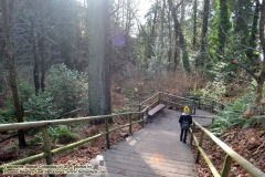 Pacific Spirit Regional Park and beaches - Vancouver, British Columbia, Canada. The adventures of Sir Oisin Leif in Vancouver BC. Photos taken on December 22, 2019. (c) 2019: Photos by Thomas Baurley, Oisin Leif Rhymour, Leaf McGowan. Tales at www.technogypsie.net/chronicles/