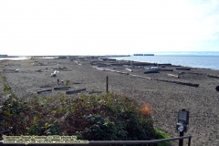 Pacific Spirit Regional Park and beaches - Vancouver, British Columbia, Canada. The adventures of Sir Oisin Leif in Vancouver BC. Photos taken on December 22, 2019. (c) 2019: Photos by Thomas Baurley, Oisin Leif Rhymour, Leaf McGowan. Tales at www.technogypsie.net/chronicles/
