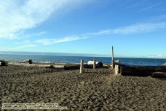 Pacific Spirit Regional Park and beaches - Vancouver, British Columbia, Canada. The adventures of Sir Oisin Leif in Vancouver BC. Photos taken on December 22, 2019. (c) 2019: Photos by Thomas Baurley, Oisin Leif Rhymour, Leaf McGowan. Tales at www.technogypsie.net/chronicles/