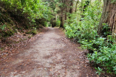 121823_0210_PIKEWOODS