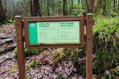 121823_0217_PIKEWOODS