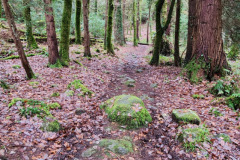 121823_0220_PIKEWOODS