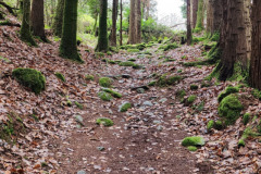 121823_0221_PIKEWOODS