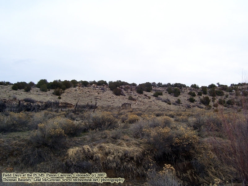Working at Pinon Canyon, Colorado