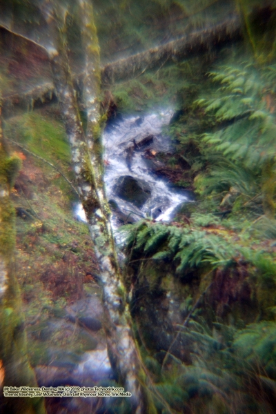 The adventures of Sir Oisin Leif and Prince Cian in the Mt Baker Wilderness near Deming, Washington. Photos taken on November 26, 2019. Forest and river area near Welcome, Slide Mountain, and Racehorse Falls.  (c) 2019: Photos by Thomas Baurley, Oisin Leif Rhymour, Leaf McGowan. Tales at www.technogypsie.net/chronicles/