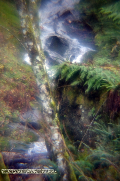 The adventures of Sir Oisin Leif and Prince Cian in the Mt Baker Wilderness near Deming, Washington. Photos taken on November 26, 2019. Forest and river area near Welcome, Slide Mountain, and Racehorse Falls.  (c) 2019: Photos by Thomas Baurley, Oisin Leif Rhymour, Leaf McGowan. Tales at www.technogypsie.net/chronicles/