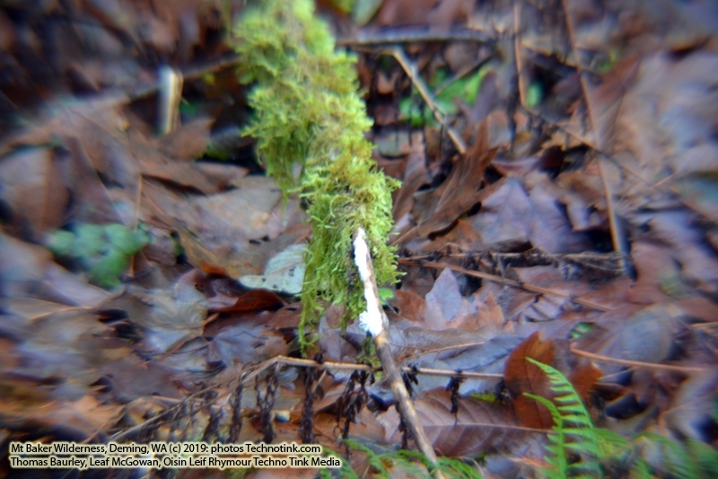 The adventures of Sir Oisin Leif and Prince Cian in the Mt Baker Wilderness near Deming, Washington. Photos taken on November 26, 2019. Forest and river area near Welcome, Slide Mountain, and Racehorse Falls.  (c) 2019: Photos by Thomas Baurley, Oisin Leif Rhymour, Leaf McGowan. Tales at www.technogypsie.net/chronicles/