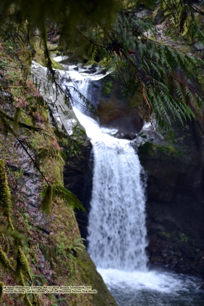 The adventures of Sir Oisin Leif and Prince Cian in the Mt Baker Wilderness near Deming, Washington. Photos taken on November 26, 2019. Forest and river area near Welcome, Slide Mountain, and Racehorse Falls.  (c) 2019: Photos by Thomas Baurley, Oisin Leif Rhymour, Leaf McGowan. Tales at www.technogypsie.net/chronicles/