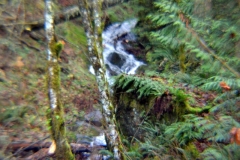 The adventures of Sir Oisin Leif and Prince Cian in the Mt Baker Wilderness near Deming, Washington. Photos taken on November 26, 2019. Forest and river area near Welcome, Slide Mountain, and Racehorse Falls.  (c) 2019: Photos by Thomas Baurley, Oisin Leif Rhymour, Leaf McGowan. Tales at www.technogypsie.net/chronicles/
