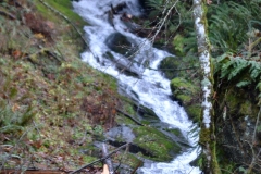 The adventures of Sir Oisin Leif and Prince Cian in the Mt Baker Wilderness near Deming, Washington. Photos taken on November 26, 2019. Forest and river area near Welcome, Slide Mountain, and Racehorse Falls.  (c) 2019: Photos by Thomas Baurley, Oisin Leif Rhymour, Leaf McGowan. Tales at www.technogypsie.net/chronicles/