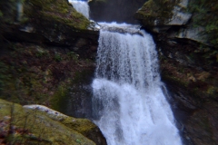 The adventures of Sir Oisin Leif and Prince Cian in the Mt Baker Wilderness near Deming, Washington. Photos taken on November 26, 2019. Forest and river area near Welcome, Slide Mountain, and Racehorse Falls.  (c) 2019: Photos by Thomas Baurley, Oisin Leif Rhymour, Leaf McGowan. Tales at www.technogypsie.net/chronicles/