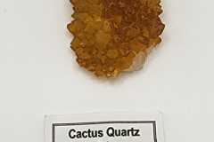 030224-0033-TT-CACTUSQUARTZ