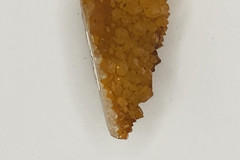 030224-0036-TT-CACTUSQUARTZ