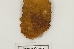 030224-0038-TT-CACTUSQUARTZ