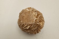 DESERTROSE-GYPSUM2022-001-091822-128