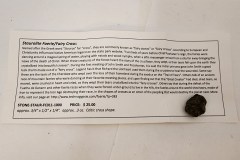 FC011-STAUROLITE-CROSS-031823-011