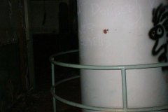 26siloroom600