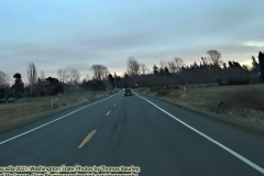 Daily Grind: sunset over Sumas. The Adventures of Sir Oisin Leaf Thomas Rhymour - the Winter of 2020/2021, Pandemic Winter 1 - Photographed on January 19, 2021. All rights reserved. (c) 2021: Thomas Baurley, Oisin Rhymour, Leaf McGowan, Techno Tink Photography www.technotink.net/photography.  See blog https://technotink.net/adventures/01-19-21/