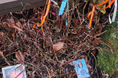 121823_0026_GHOBNATANWELL