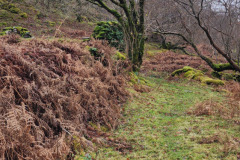 121923_0148_URAGH_CIRCLE