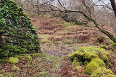 121923_0150_URAGH_CIRCLE