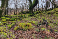 121923_0156_URAGH_CIRCLE