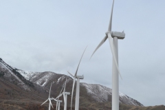 UT-032521-005
