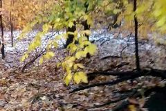 facebook_1541782331418
