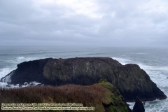 Yaquina Head National Park (http://www.technogypsie.com/reviews/?p=25775). 1/27/16: Chronicles 23: Delving the Oregon Coast and Willamette Valley:  http://www.technogypsie.com/chronicles/?p=19727 -   Photos from  February 2016 . (c) 2016 - photo by Photographers Thomas Baurley / Eadaoin Bineid / Leaf McGowan and/or Etain DeDanann of Technogypsie Productions Photography: (www.technogypsie.com/photography/).
