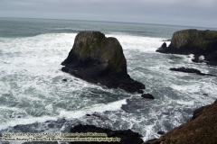Yaquina Head National Park (http://www.technogypsie.com/reviews/?p=25775). 1/27/16: Chronicles 23: Delving the Oregon Coast and Willamette Valley:  http://www.technogypsie.com/chronicles/?p=19727 -   Photos from  February 2016 . (c) 2016 - photo by Photographers Thomas Baurley / Eadaoin Bineid / Leaf McGowan and/or Etain DeDanann of Technogypsie Productions Photography: (www.technogypsie.com/photography/).