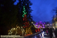 Van Dusen Botanical Gardens - Festival of Lights. Vancouver, British Columbia, Canada. The adventures of Sir Oisin Leif in Vancouver BC. Photos taken on December 22, 2019. (c) 2019: Photos by Thomas Baurley, Oisin Leif Rhymour, Leaf McGowan. Tales at www.technogypsie.net/chronicles/