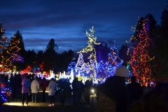 Van Dusen Botanical Gardens - Festival of Lights. Vancouver, British Columbia, Canada. The adventures of Sir Oisin Leif in Vancouver BC. Photos taken on December 22, 2019. (c) 2019: Photos by Thomas Baurley, Oisin Leif Rhymour, Leaf McGowan. Tales at www.technogypsie.net/chronicles/