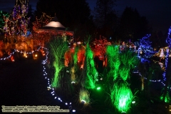Van Dusen Botanical Gardens - Festival of Lights. Vancouver, British Columbia, Canada. The adventures of Sir Oisin Leif in Vancouver BC. Photos taken on December 22, 2019. (c) 2019: Photos by Thomas Baurley, Oisin Leif Rhymour, Leaf McGowan. Tales at www.technogypsie.net/chronicles/