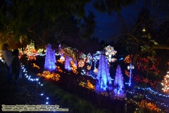 Van Dusen Botanical Gardens - Festival of Lights. Vancouver, British Columbia, Canada. The adventures of Sir Oisin Leif in Vancouver BC. Photos taken on December 22, 2019. (c) 2019: Photos by Thomas Baurley, Oisin Leif Rhymour, Leaf McGowan. Tales at www.technogypsie.net/chronicles/
