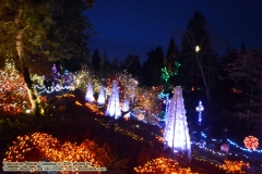 Van Dusen Botanical Gardens - Festival of Lights. Vancouver, British Columbia, Canada. The adventures of Sir Oisin Leif in Vancouver BC. Photos taken on December 22, 2019. (c) 2019: Photos by Thomas Baurley, Oisin Leif Rhymour, Leaf McGowan. Tales at www.technogypsie.net/chronicles/