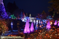 Van Dusen Botanical Gardens - Festival of Lights. Vancouver, British Columbia, Canada. The adventures of Sir Oisin Leif in Vancouver BC. Photos taken on December 22, 2019. (c) 2019: Photos by Thomas Baurley, Oisin Leif Rhymour, Leaf McGowan. Tales at www.technogypsie.net/chronicles/