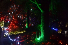 Van Dusen Botanical Gardens - Festival of Lights. Vancouver, British Columbia, Canada. The adventures of Sir Oisin Leif in Vancouver BC. Photos taken on December 22, 2019. (c) 2019: Photos by Thomas Baurley, Oisin Leif Rhymour, Leaf McGowan. Tales at www.technogypsie.net/chronicles/