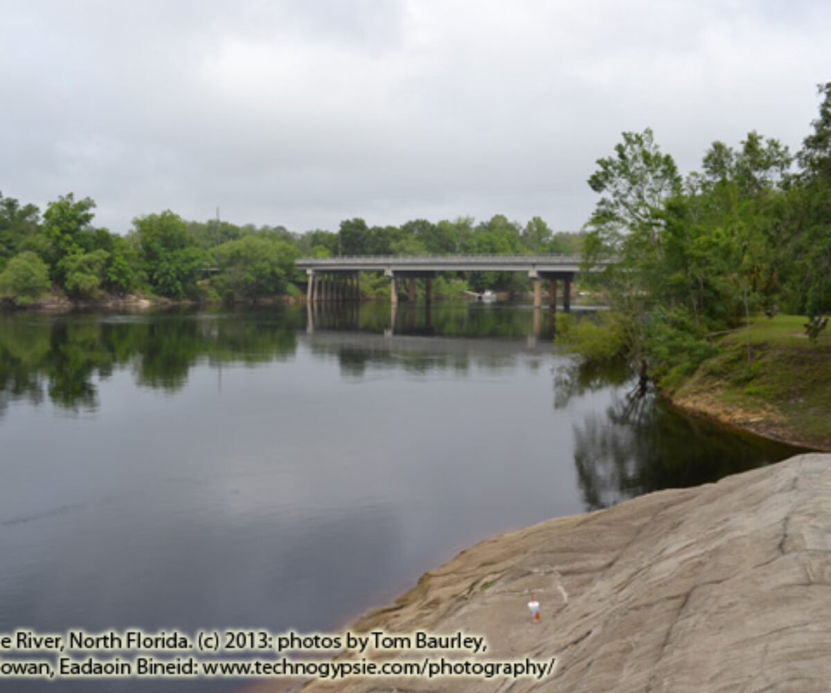 Suwannee River, North Florida