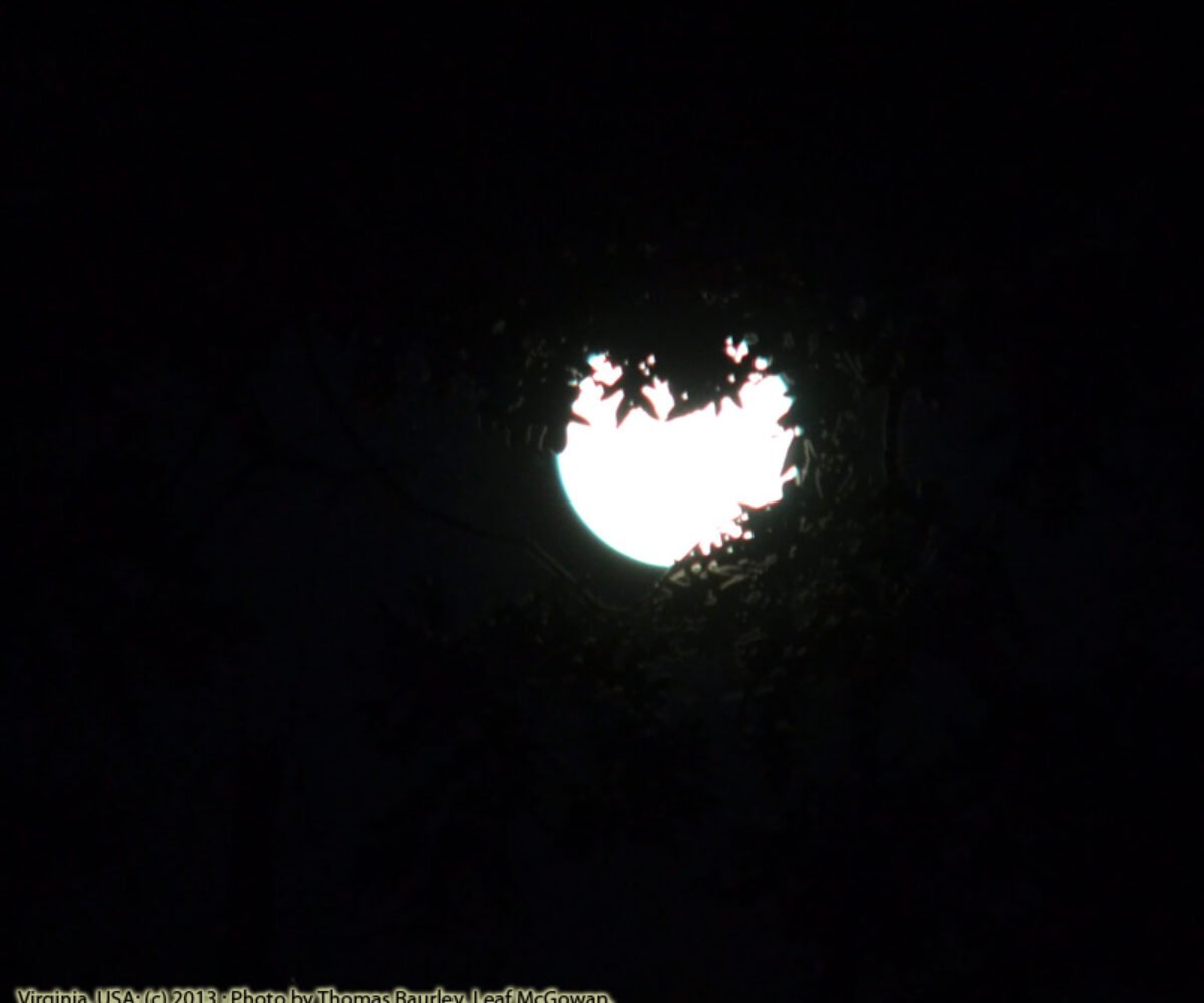 Supermoon