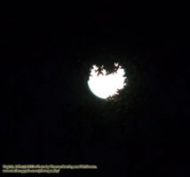 06.23.13 Chronicles of Sir Thomas Leaf: Chapel Hill to Occoquan