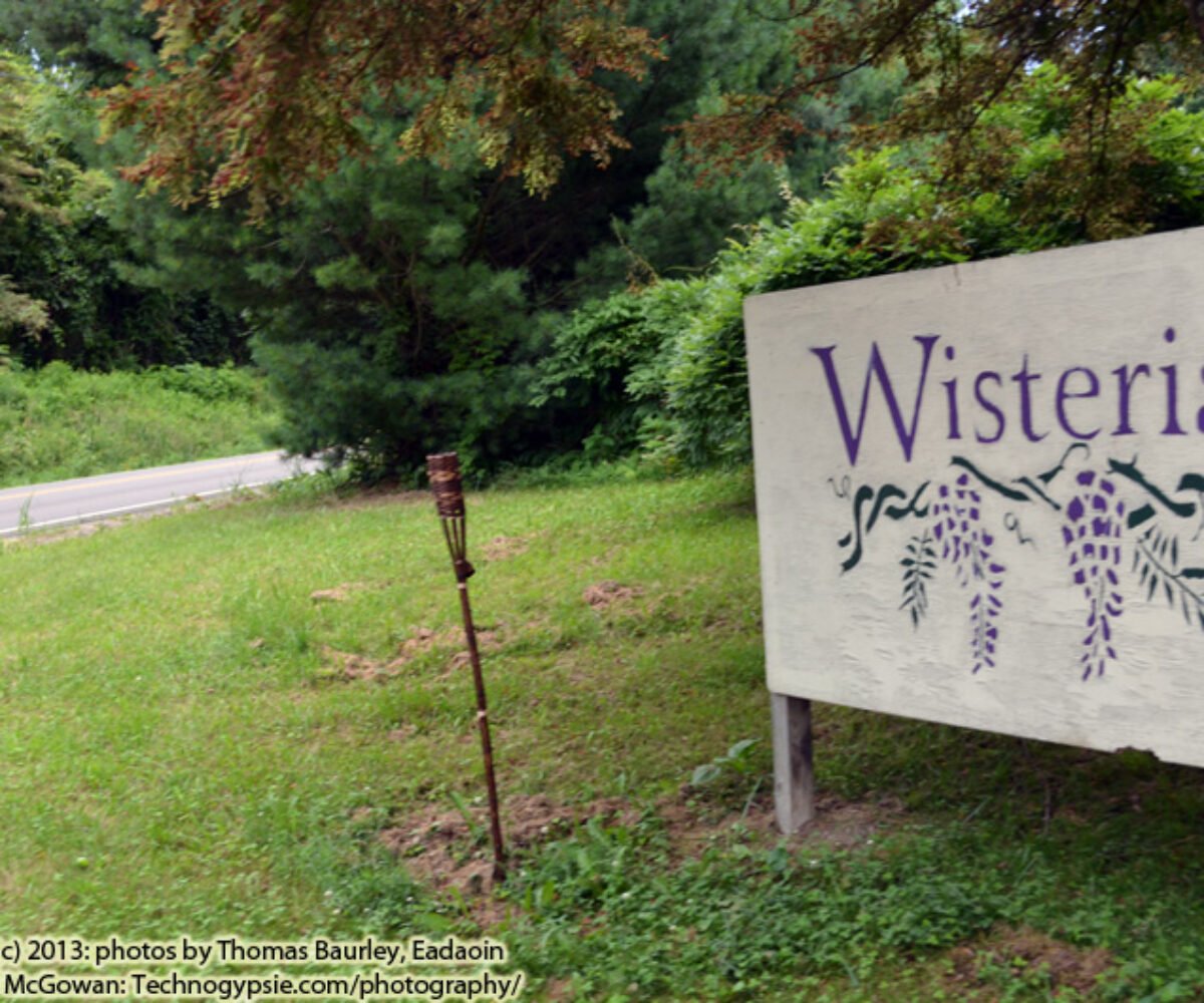 Wisteria, Pomeroy, Ohio