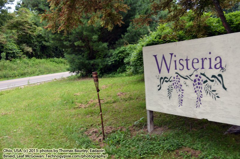 07.06.13: Chronicles ~ Travels across Ohio to Wisteria, X Day Drills 16