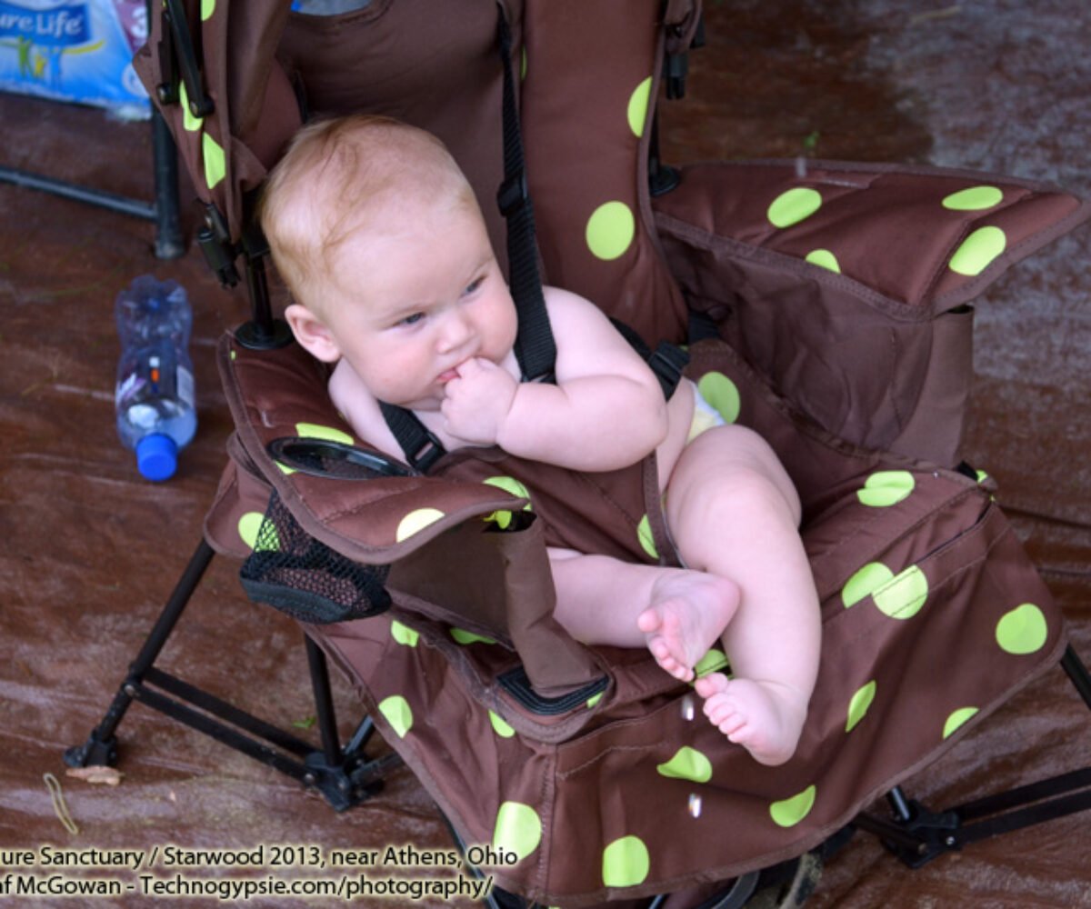 07.07.13 to 07.08.13: Chronicles ~ Wisteria’s Worm Hole