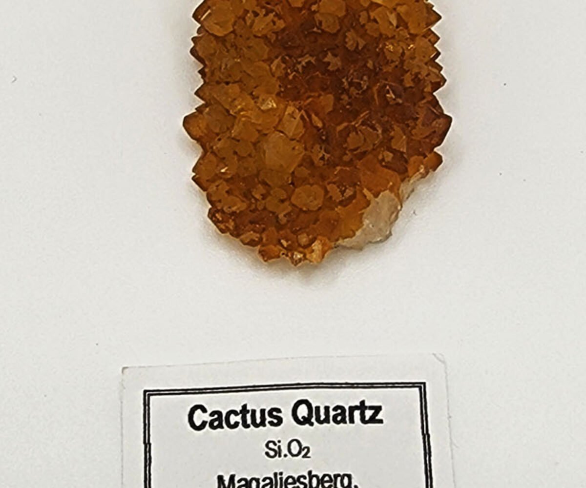 Cactus Quartz