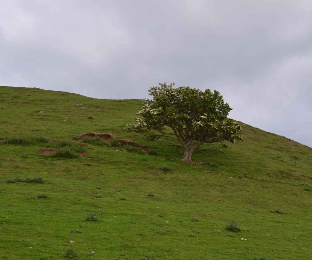 Tiveragh Fairy Hill (Cushendall)