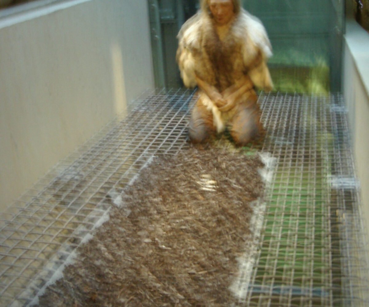 03.03.05: Neanderthal Museum