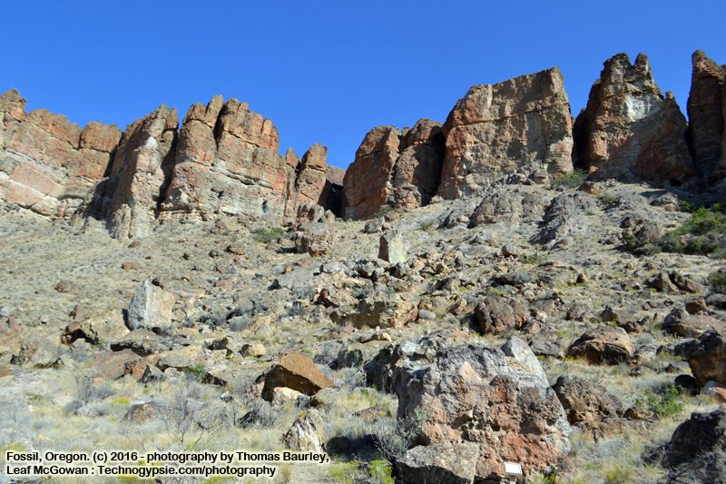 Trail of Fossils. The Pallisades - Clarno Unit - John Day Fossil National Monument.