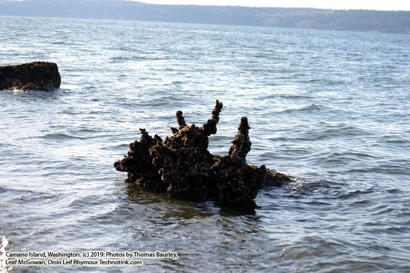 The adventures of Sir Oisin Leif and Prince Cian in Cama Beach, Washington on Thanksgiving Day. Photos taken on November 28, 2019. (c) 2019: Photos by Thomas Baurley, Oisin Leif Rhymour, Leaf McGowan. Tales at www.technogypsie.net/chronicles/